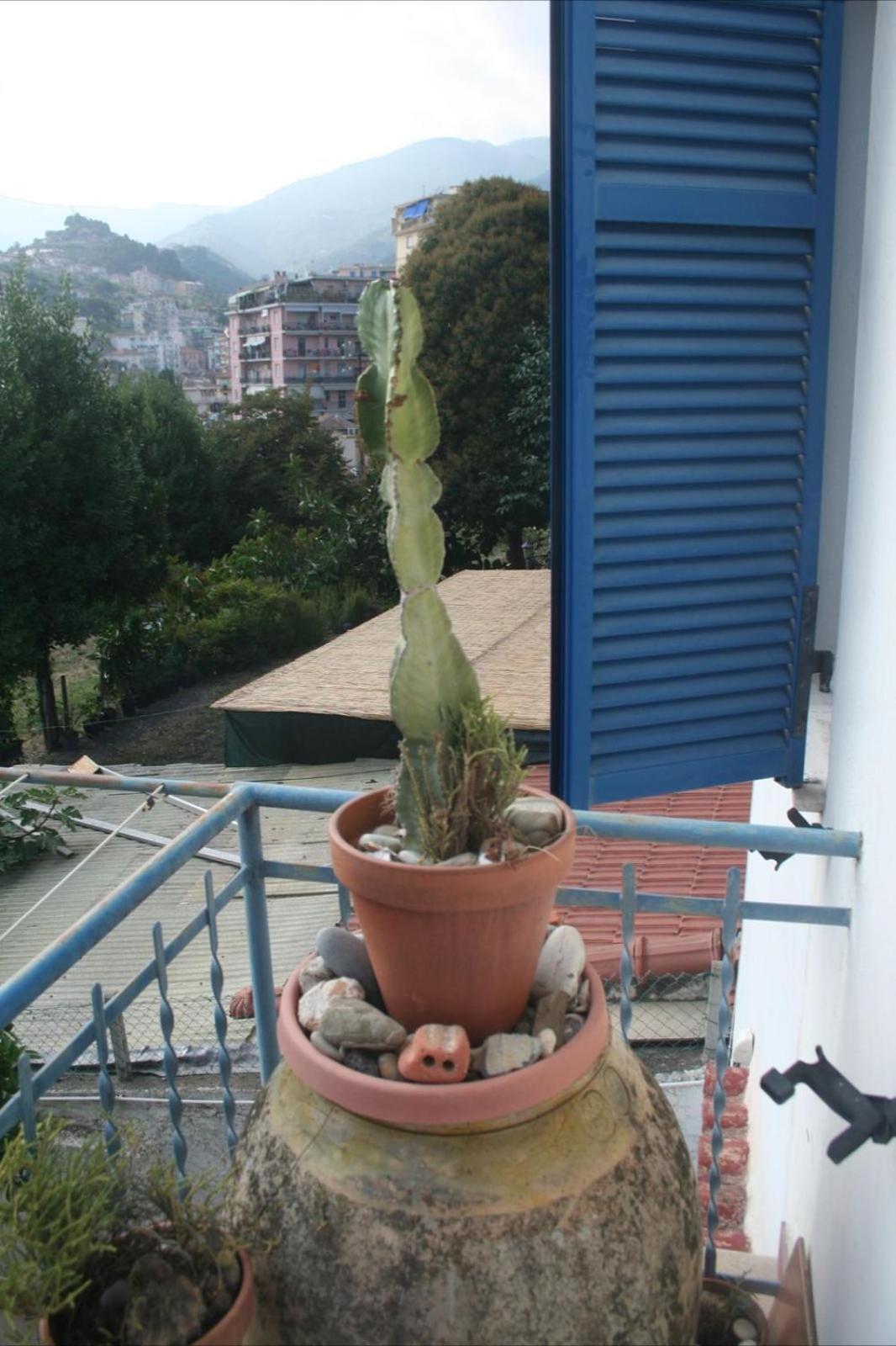 La Casa Di Flora Apartment Sanremo Exterior photo